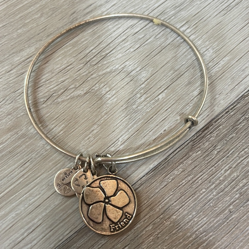 Alex and Ani Because I Love You Friend Charm Bracelet